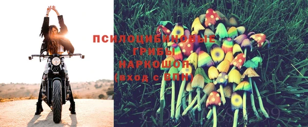 прущие крисы Алексин