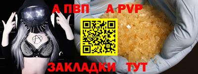 гашик Моздок