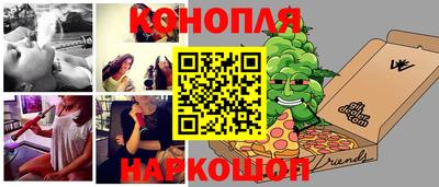гашик Моздок
