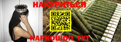 гашик Моздок